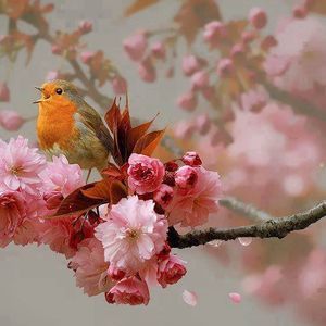 Meet your Posher, Jean